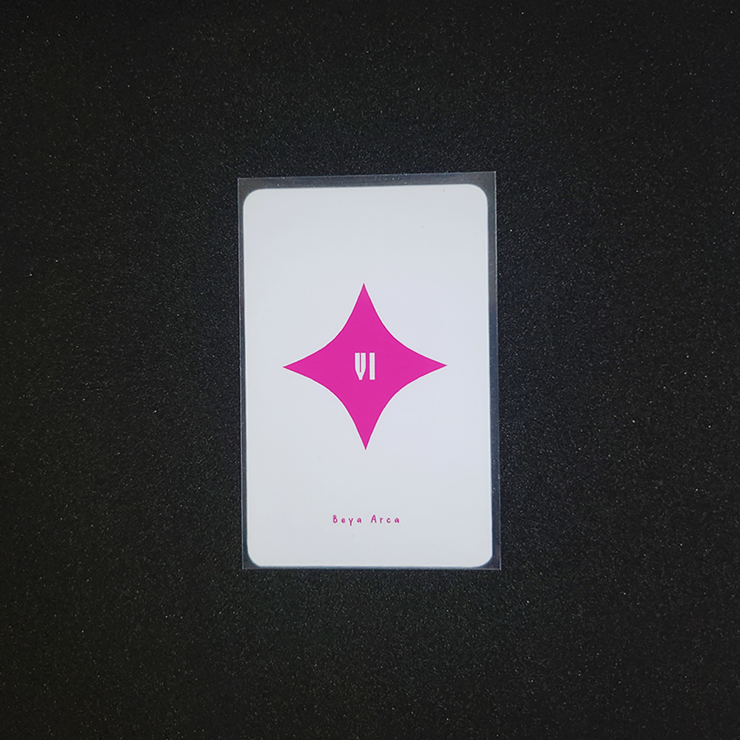 ✦ Enforcer Vi Photocard